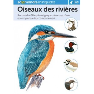 Miniguide Oiseaux des rivières