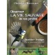 Observer la vie sauvage de nos jardins