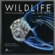 WILDLIFE photographer of the year 2019