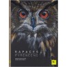 RAPACES PYRENEENS