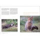 Atlas des mammifères sauvages de France volume 3 Carnivores et Primates