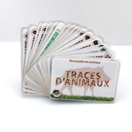 Carnet traces d'animaux