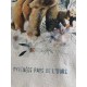 Tote Bag "Pays de l'Ours"