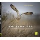 Noctambules, chouettes et hiboux des campagnes