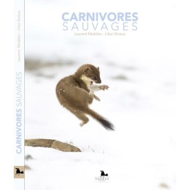 CARNIVORES SAUVAGES