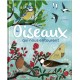 Les oiseaux qui nous entourent