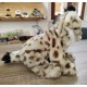 Peluche Lynx 