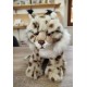 Peluche Lynx 