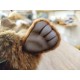 Marionnette Ours Brun