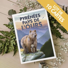 Carte de postale "pyrenees pays de l'ours"