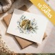 Lot de 10 cartes de correspondance "Caramelles"