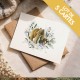 Lot de 5 cartes de correspondance "Caramelles"