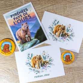 Lot de 12 cartes - 3 illustrations différentes