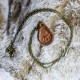 Collier pendentif en cuir patte d'ours